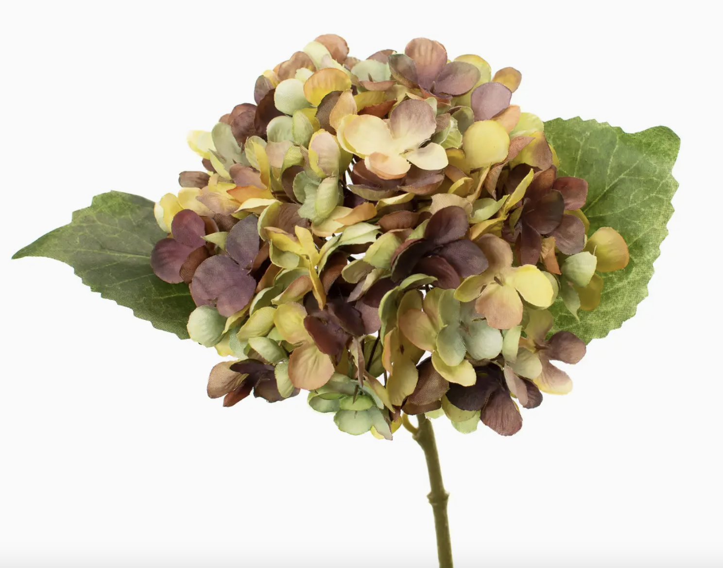 Fall Hydrangea Stem | Pin It Co. Home Goods, Furniture
