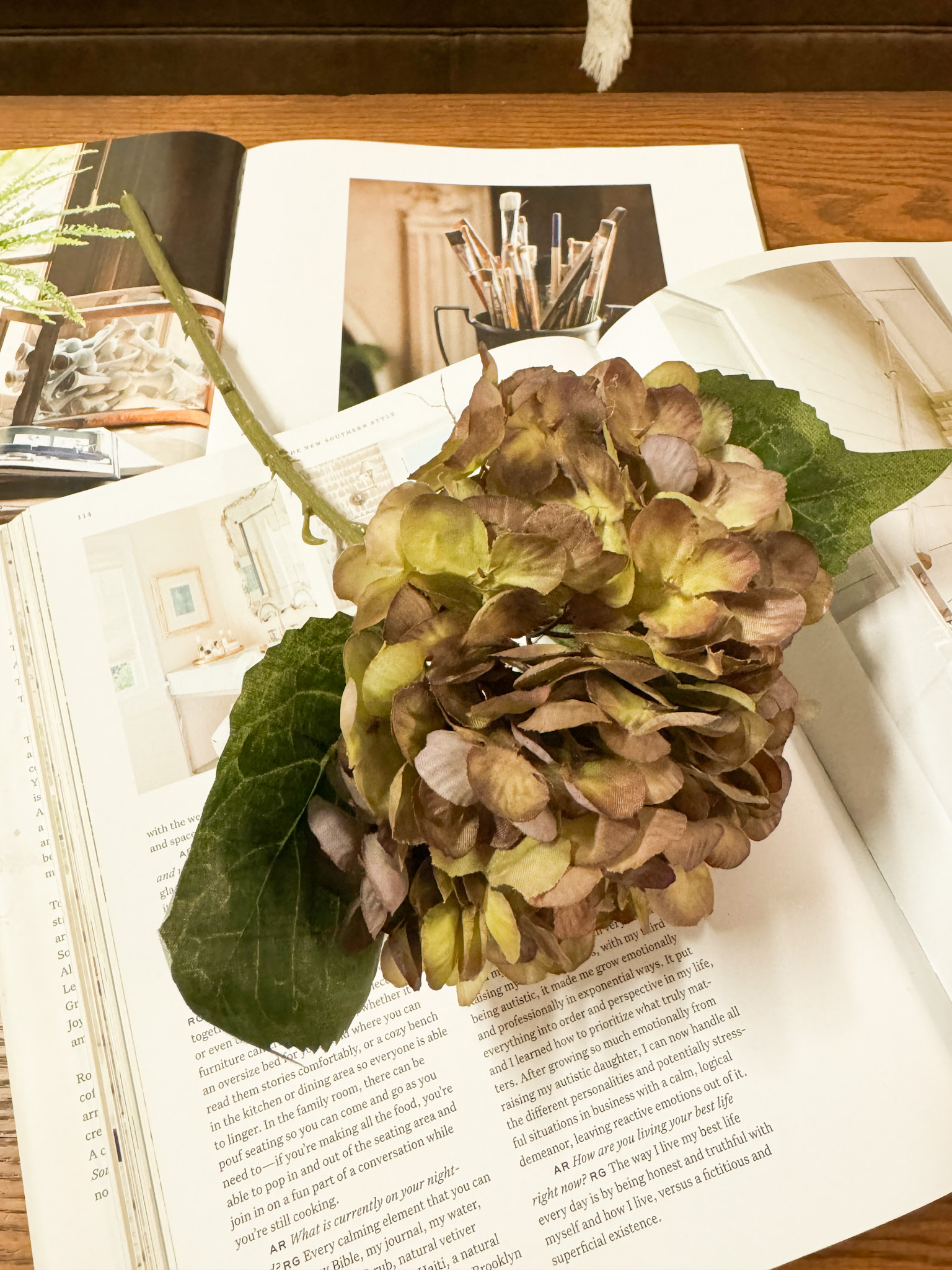 その他 hydrangea0223 Low hydrangea top – Wellbeing Gardens